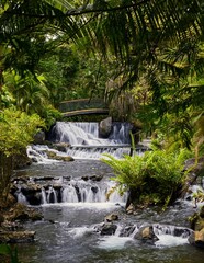 Sticker - Scenery of Tabacon Hot Springs flowing in La Fortuna Arenal volcano area, Costa Rica