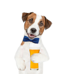 Canvas Print - Jack Russell Terrier puppy wearing tie bow holds mug of the beer. isolated on white background