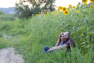 Sticker - Young romantic couple in sunflower field in sunset