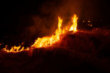The Flames Were Burning Violently In The Night Fields.
