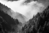 160_f_525814869_xhagg1znkb7mdjrcrppzs16kzfgvkzp2