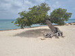 © yeshaya - Amazing landscapes of Aruba Views of the Aruba island