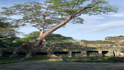 Wall Mural - Temple du parc historique de Angkor - Cambodge