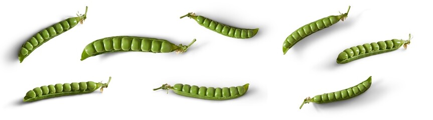 A collection of fresh green pea pods open and isolated against a flat background.