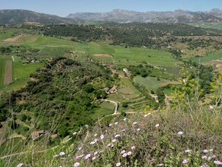 Wall Mural - View of the countryside from Ronda Spain