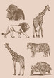 Graphical vintage set of wild animals,vector illustration. Hand-drawn elements of the wild