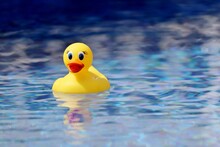 A Rubber Duck Swimming In A Pool
