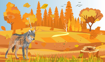 Wall Mural - Noth forest at autumn yellow trees and ground landscape wolf stands vector