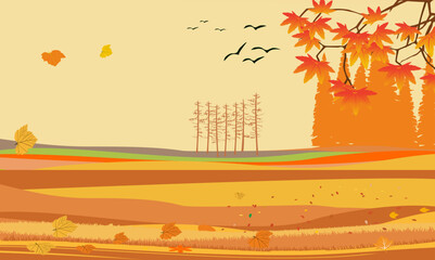 Wall Mural - Noth forest at autumn yellow trees and ground landscape  vector