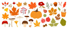 Autumn Big Collection With Botanicals, Differents Plants And Leaves, Mushroom, Pumpkins, Berries, Elements Isolated