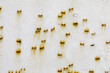 © TextureRealm - Urban Paint Grunge Texture Background
