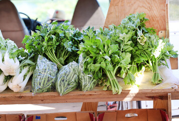 Canvas Print - market celery and beans