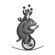 © Oleksandr Pokusai - Circus bear with raccoon rides tightrope on a unicycle. The raccoon is juggling. Sketch engraving vector illustration. Scratch board imitation. Black and white hand drawn image.