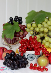 Wall Mural - Colorful still life with seasonal fruit and berries on textured background with copy space. Balance diet concept. 