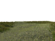 Grass Foreground Floor with Perspective, Transparent Background PNG


