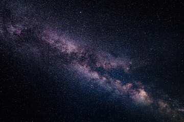 Wall Mural - milky way in the night sky