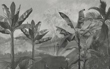 Tropical Wallpaper Design, Banana Trees, Landscapes, Mural Art.