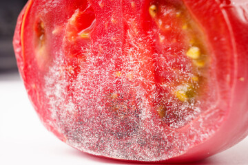 a piece of tomato covered with white and black mold.