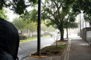 young woman watching the heavy rain sheltered under a tree, waiting for the rain to reduce, mexico