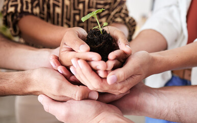 Canvas Print - Green economy, sustainability plant hands and global growth of teamwork with hope, help and trust for earth, future community and environment success. Planet diversity, innovation and accountability