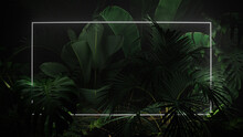 White Neon Light With Tropical Leaves. Rectangle Shaped Fluorescent Frame In Nature Environment.