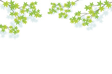 Background Frame Illustration With Green Maple Branches 