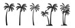 © Bamsparkyu - Palm tree silhouette vector graphic