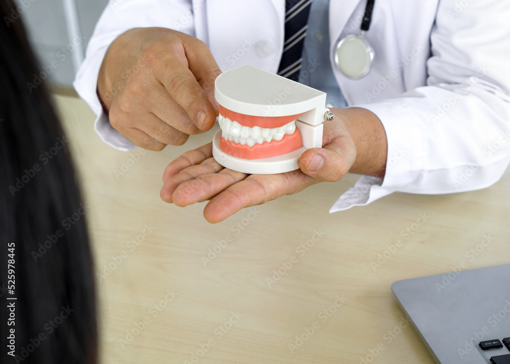 Dentist in white gown and stethoscope pointing finger at tooth model, explain to young patient about orthodontics and braces. Help reduce gum pain. Healthcare and medicine concept. Closeup