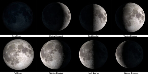 Wall Mural - the phases of the moon. elements of this image were furnished by nasa.