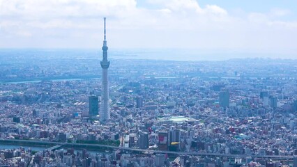 Wall Mural - Aerial view of Tokyo