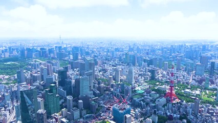 Wall Mural - Aerial view of Tokyo