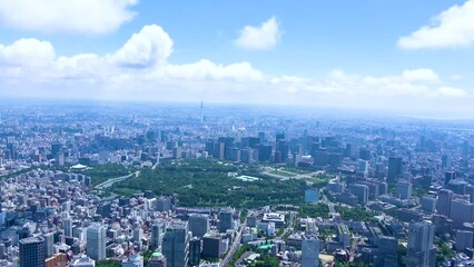 Wall Mural - Aerial view of Tokyo