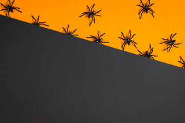 Wall Mural - Halloween decorations concept. Halloween with with big spiders on orange and black background. Flat lay, top view, copy space