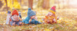 © candy1812 - Group of children lying onthe ground in autumnal park
