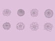 dahlia flowers outline illustration collection.flowers line art icon set