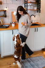 Woman With King Charles Spaniel Dog At Home Kitchen With Cup And Cookie In Her Hand.