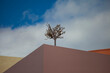 Tree On Roof Top. Copy Space. One single olive tree amongst rooftops. Sly with clouds in the background. Stock Image.