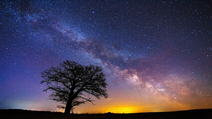 Wall Mural - Night landscape with colorful Milky Way and an Oak tree