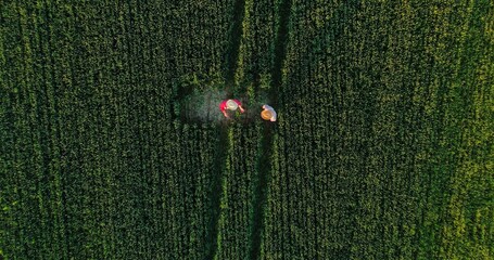 top view of the two agronomists walking through the professional ecological field exterior. vegetabl