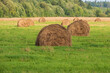 Round haystacks on a field in a village in autumn
