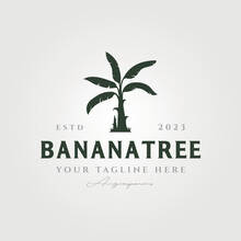Banana Tree Vintage Logo Vector Symbol Illustration Design, Banana Tree Silhouette Logo Design