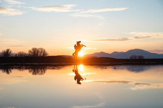 horse in the sunset lights, kayseri turkey