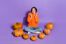 Portrait Of Attractive Cheerful Lucky Girl Sitting Among Pumpkins Having Fun Rest Isolated On Bright Purple Violet Color Background