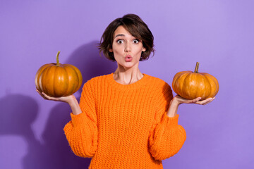 Sticker - Portrait of attractive amazed funny brown-haired girl holding on palms two pumpkins choose isolated on bright purple violet color background