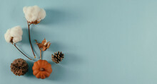 Thanksgiving Fall Season Background With Flat Lay Of Pine Cones And Pumpkin From Top View With Blue Backdrop.