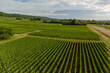 © barmalini - Panoramic view on grand cru vineyards in Côte-d'Or Burgundy winemaking region, Bourgogne-Franche-Comté, France