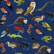 Seamless Pattern With Wild Animals And Birds. Hand Drawn Colorful Sketches On Blue Background. 