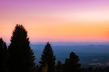 Wall Mural - pine trees silhouette and pink golden mountain rolling hills sunset view from top of humphreys peak