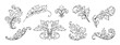 Vintage baroque ornaments. Filigree flower flourish, victorian floral swirl frame, decorative ornate. Blooming blossoms and decor leaves, isolated botanical engraving design elements. Vector set