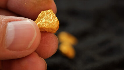 Sticker - Mining man's hand holds a lump of pure gold from the mine and examines it on a black background.